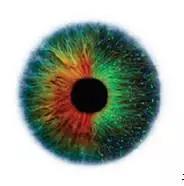 1514275898930045.jpg 8.jpg